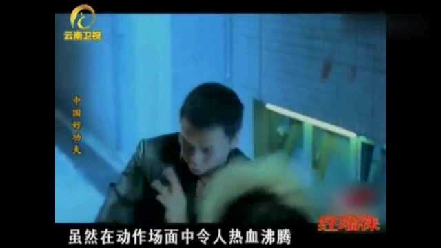 光影武侠,甄子丹将多种风格融会贯通,被誉为新一代“功夫之王”