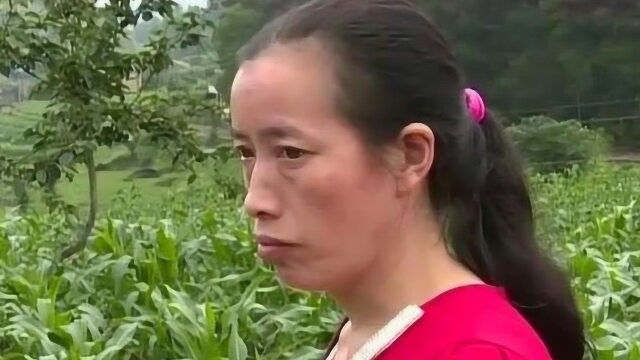 丈夫公然和第三者成双入对,全然不顾及妻子,妻子的态度让人大吃一惊!