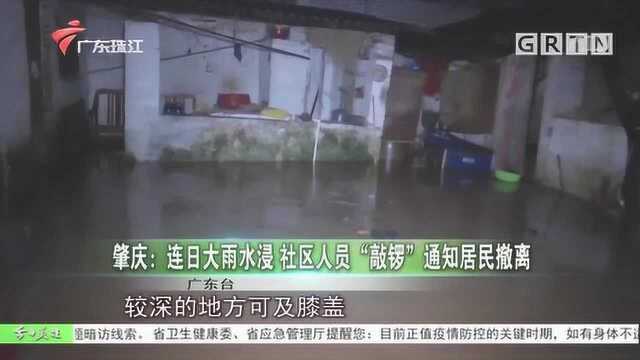 暖心又负责!肇庆连日大雨水浸,社区人员“敲锣”通知居民撤离