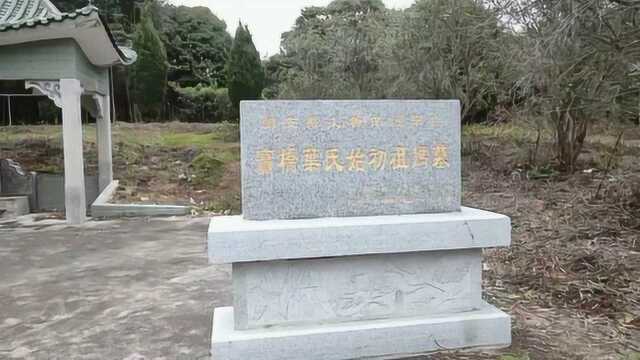 文子状元地不远结气,阴宅祖坟地墓地风水大师寻龙点穴风水案例教学点评视频