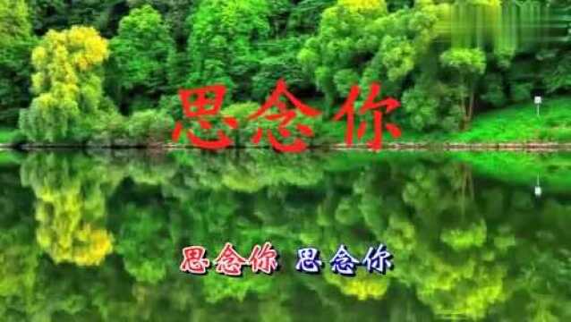 韩宝仪一首《思念你》,曲调动听,句句深情