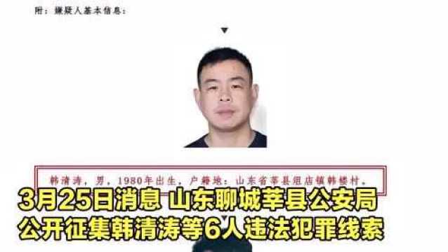 山东聊城一涉恶黑团伙照片曝光!嫌犯均系“80后” 警方征集线索