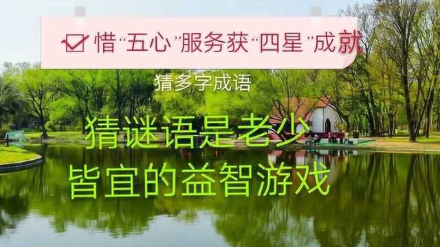 猜谜语:惜“五心”服务获“四星”成就,猜多字成语