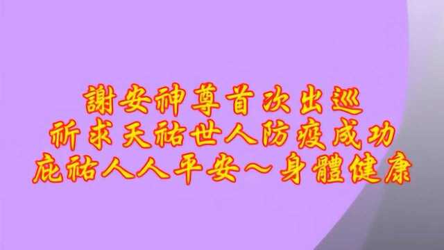 台湾谢氏举行谢公像巡游活动