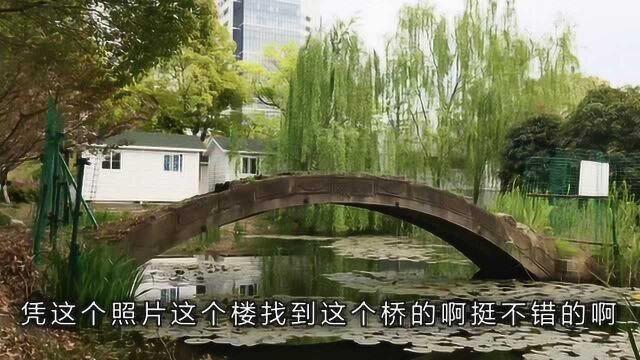 苏州园区湖东核心地带,一片高楼大厦之中,有一座“古桥”