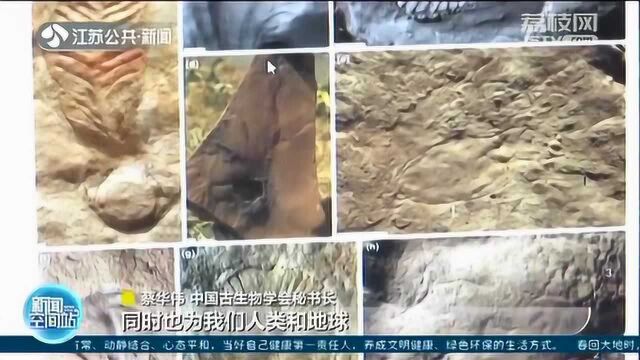 “2019年度中国古生物学十大进展”发布 南古生所主持参与5项研究