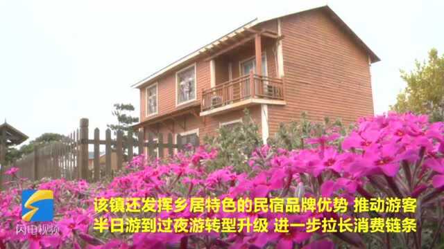 28秒丨日照五莲叩官镇打造精品民宿 助推乡村旅游