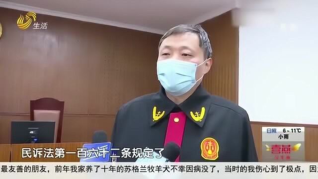 一锤定音!济南:小额案件“一审即终审” 拖了6年的欠款10分钟搞定