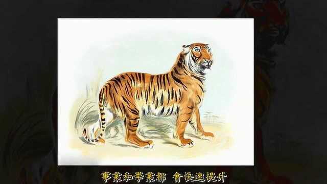 今年六大福相:猪,虎,狗,鸡,马,蛇,好日子马上来