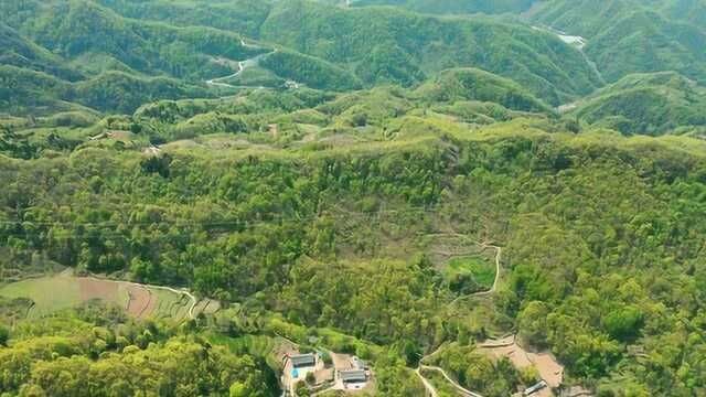 爱剪辑秦岭秘境之绿野寻踪