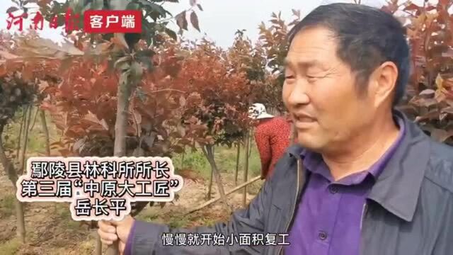 走近大工匠丨老岳的“桃花梦”