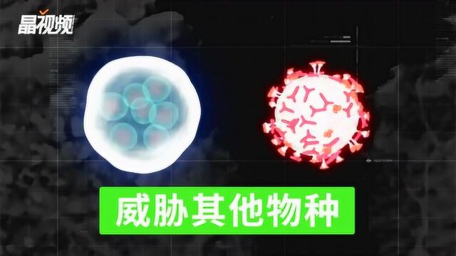 一分钟带你读懂“生物安全”这件大事