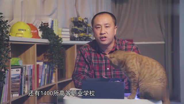 河南发布职业教育改革方案,未来不止本科一条路?