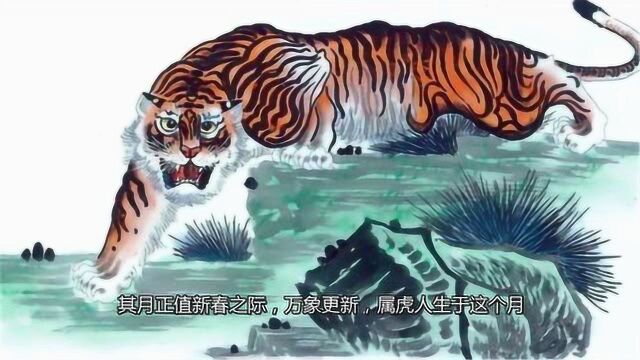 属虎人生于这3个月,外有达官贵人扶持,内有贤淑佳妻,特别是第一个