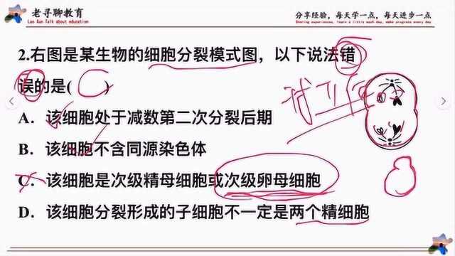 练习版讲解,减数分裂和细胞分裂图的判断坑和注意事项.