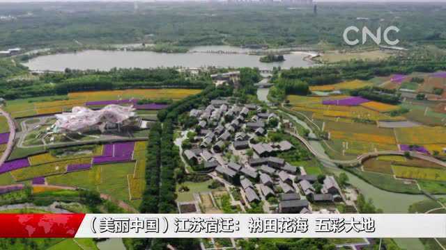 (美丽中国)江苏宿迁:衲田花海 五彩大地