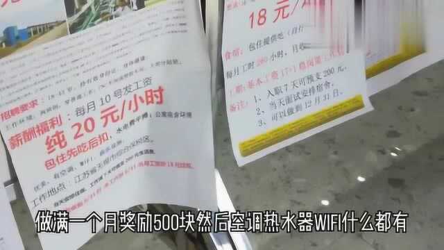 深圳这个电子厂进过的人都说宿舍像学校,一个月只要15元水电费