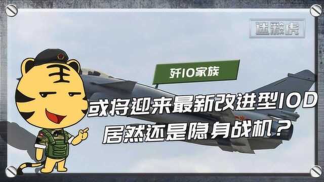 歼10家族或将迎来最新改进型10D?居然还是隐身战机?