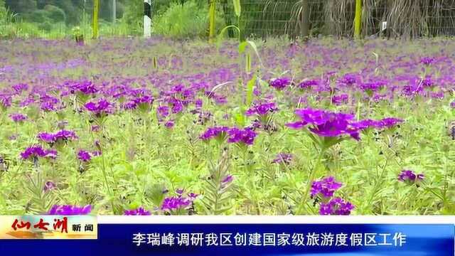 李瑞峰调研我区创建国家级旅游度假区工作