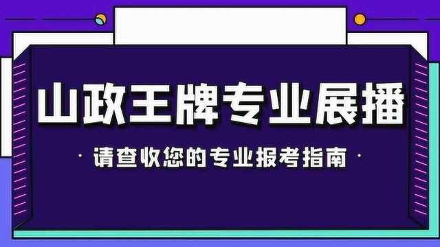 山东政法学院审计学专业batch