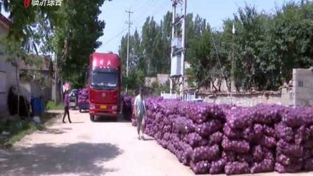 公益助农 我们在行动 河东区汤头街道白塔街村的圆葱有销路了