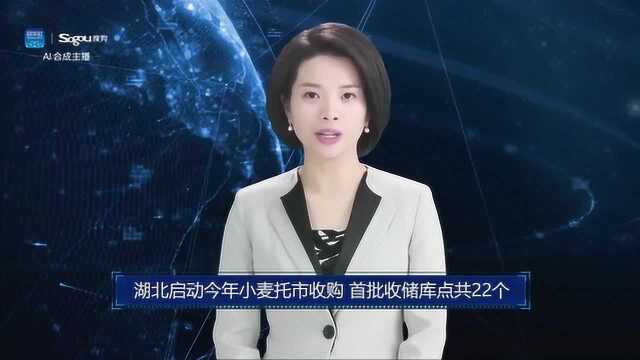 AI合成主播丨湖北启动今年小麦托市收购 首批收储库点共22个