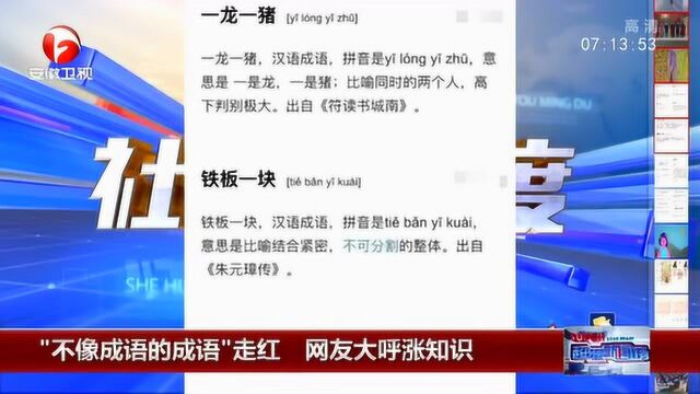 “不像成语的成语”走红网络 网友大呼涨知识