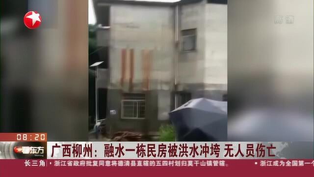 广西柳州:融水一栋民房被洪水冲垮 无人员伤亡