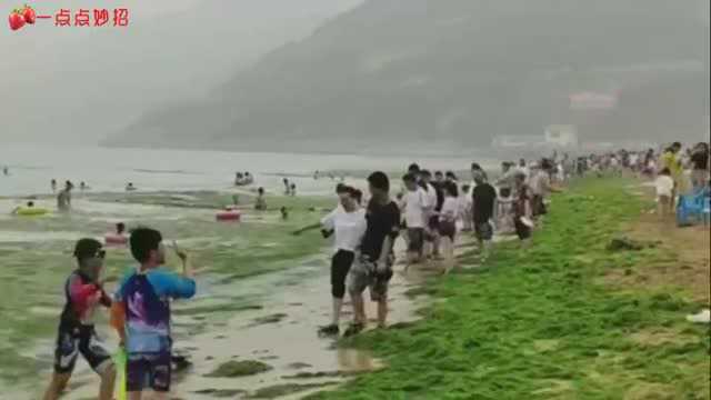 连云港的海滨浴场遍布浒苔,给自己做了全身“海藻面膜”