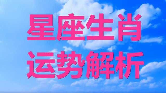 属虎人的性格、优缺点、还有这四种血型运势解析.