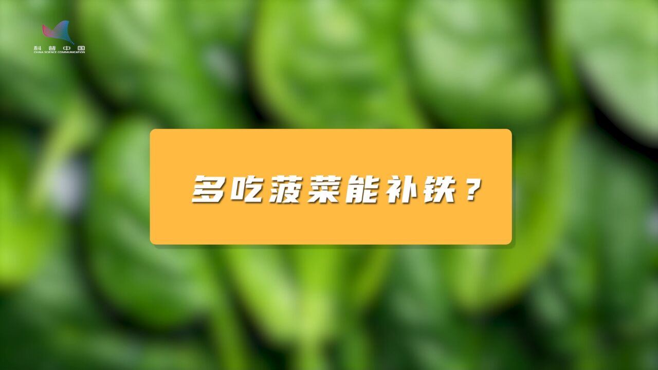 多吃菠菜能补铁?