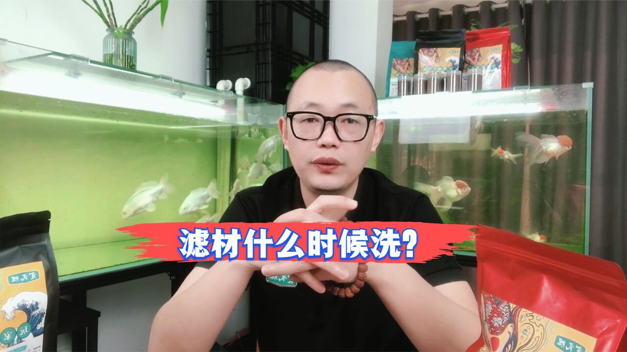 鱼缸滤材什么时候洗?什么时候换?如何摆放?