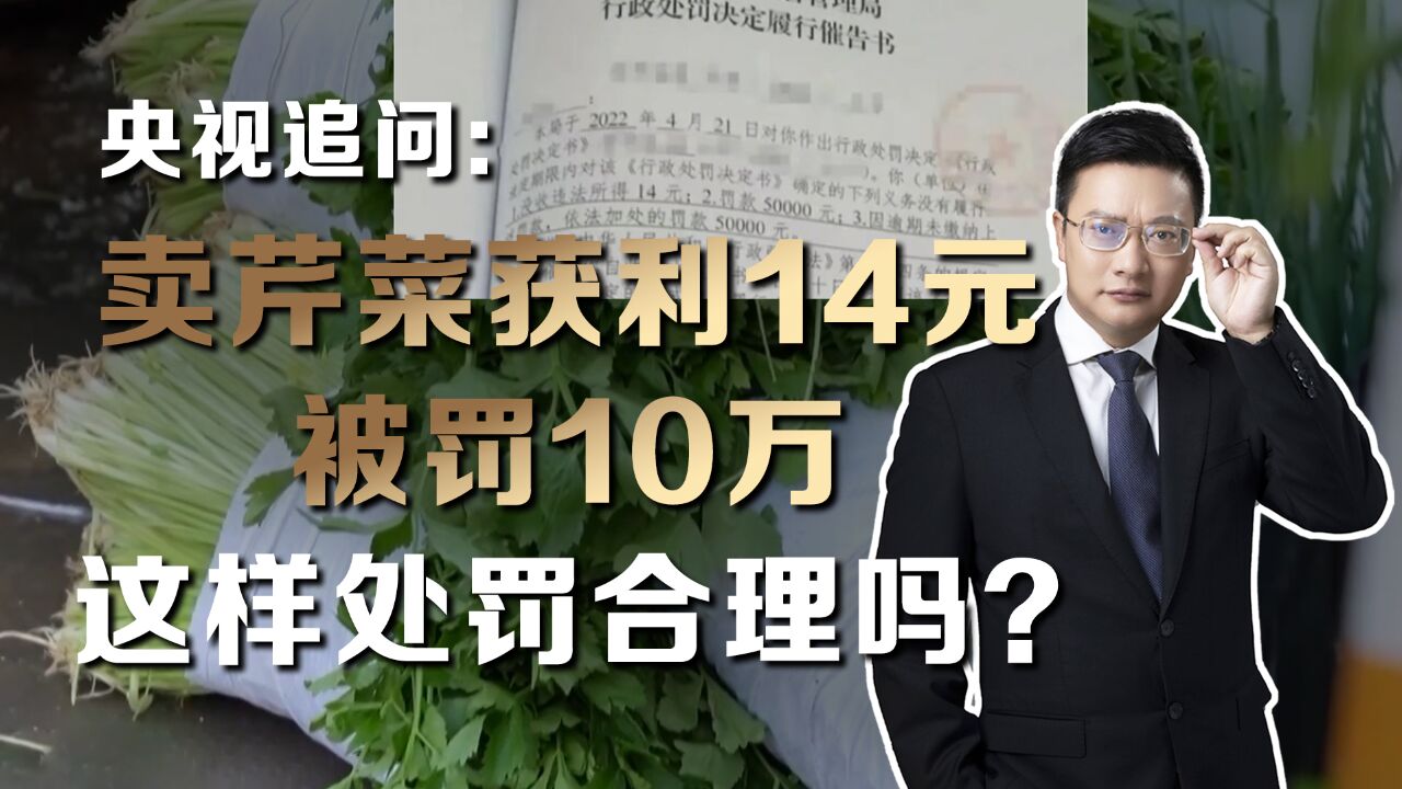 卖芹菜获利14元被罚10万,律师解读:“小过重罚”为何层出不穷?