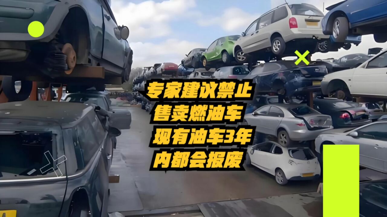 专家建议禁止售卖燃油车,现有油车3年内都会报废