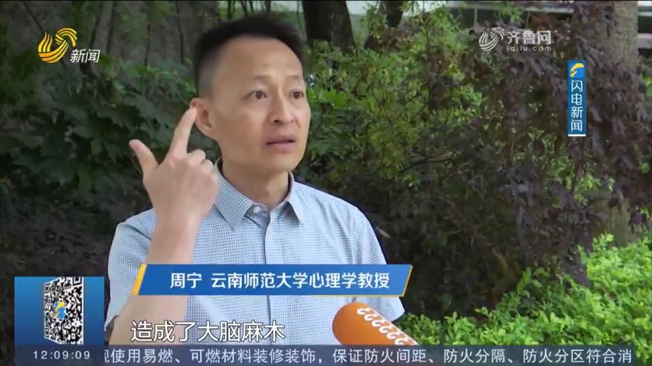 收藏但不看?什么是“数字仓鼠”,你是信息时代的“数字仓鼠”吗