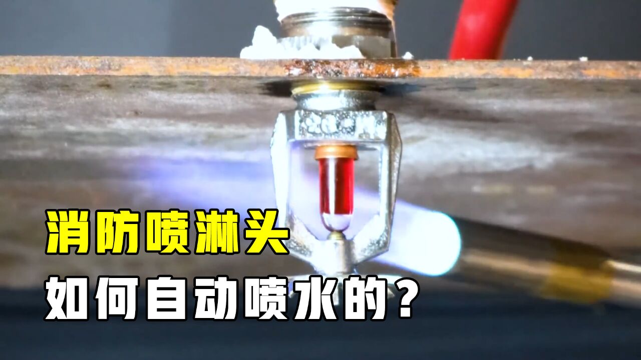 一着火就自动喷水!消防喷淋头怎么工作的?点个火试一下