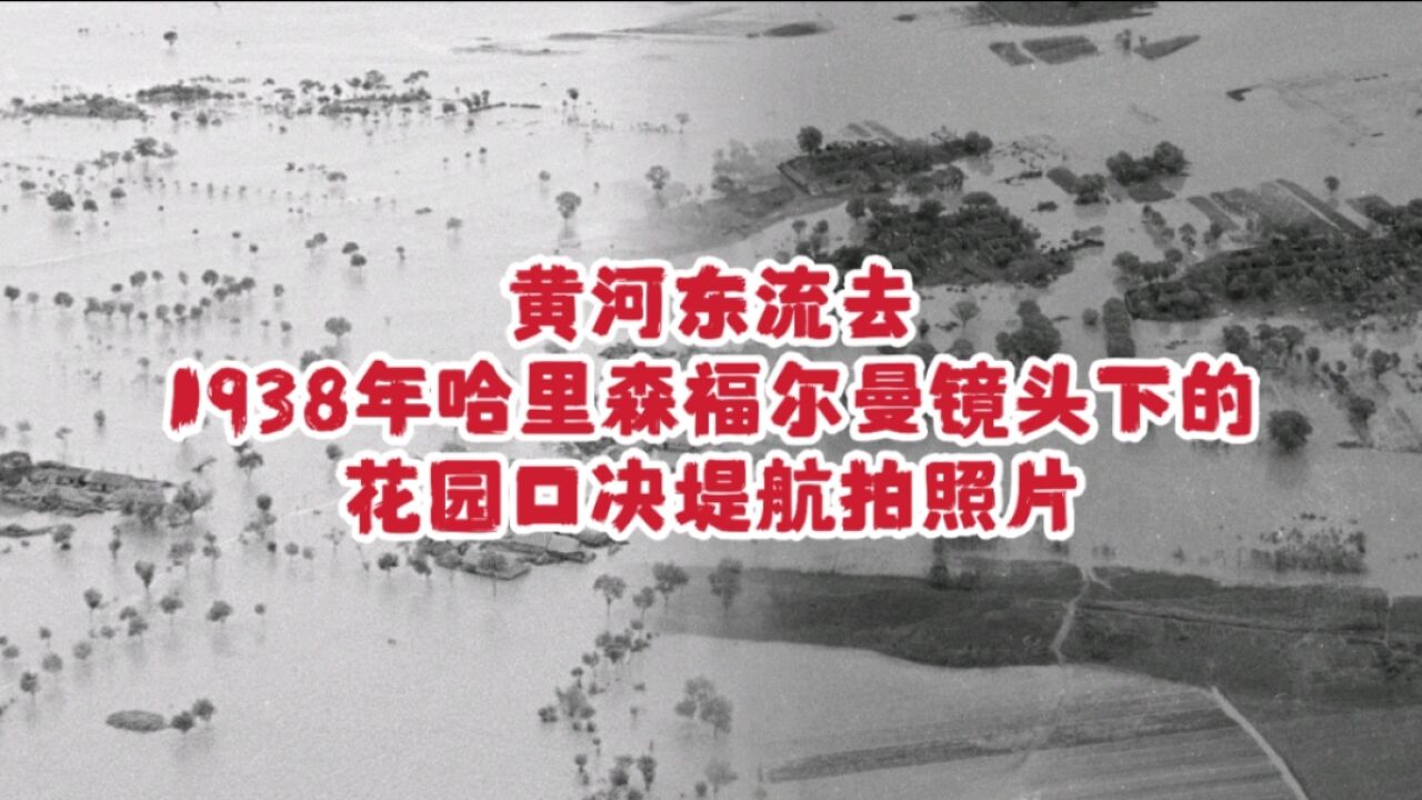 黄河东流去,1938年哈里森福尔曼镜头下的花园口决堤航拍照片