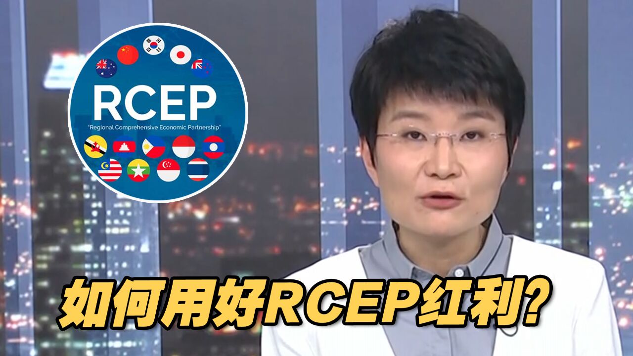 如何用好RCEP红利?专家这样说......