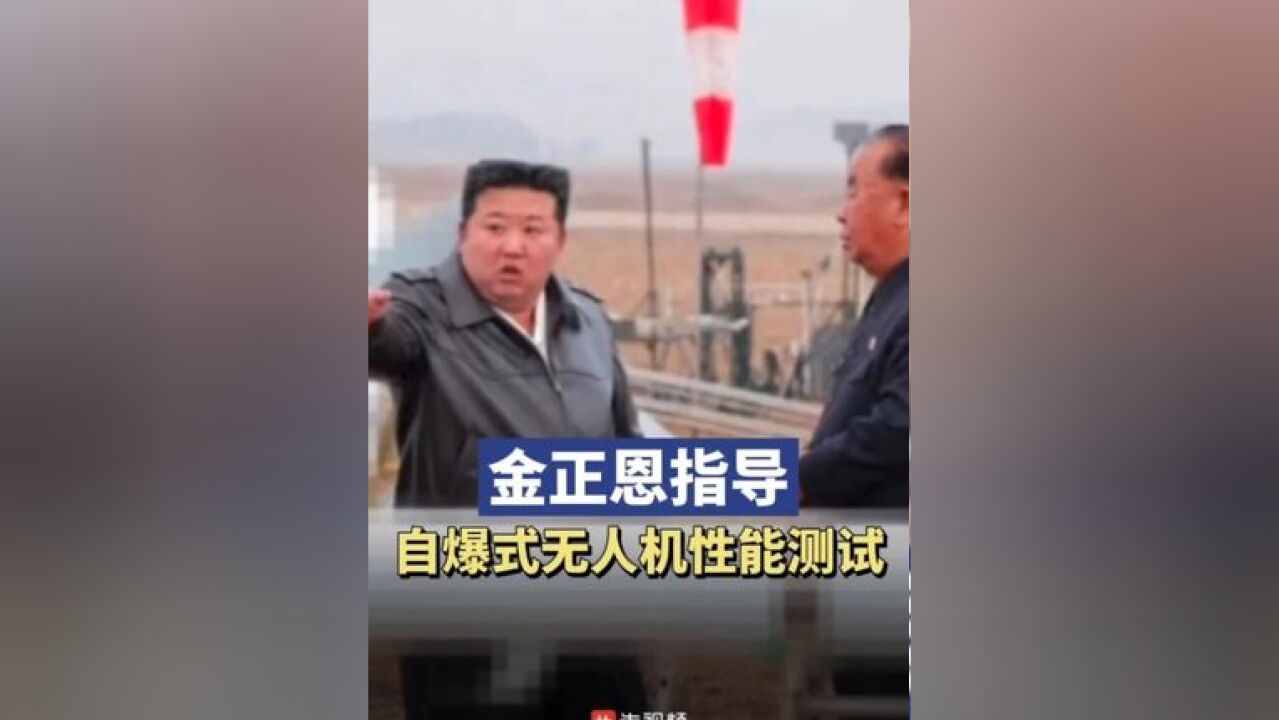 金正恩指导自爆式无人机性能测试