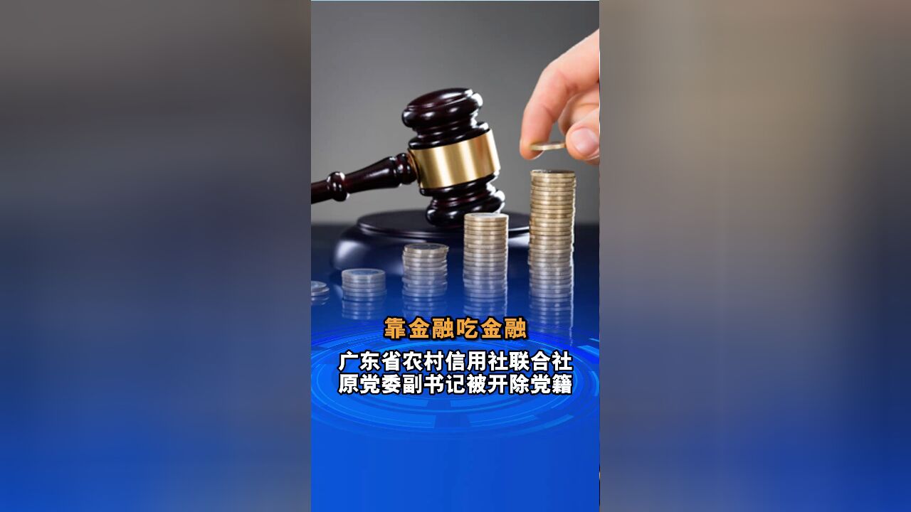 靠金融吃金融广东省农村信用社联合社原党委副书记被开除党籍