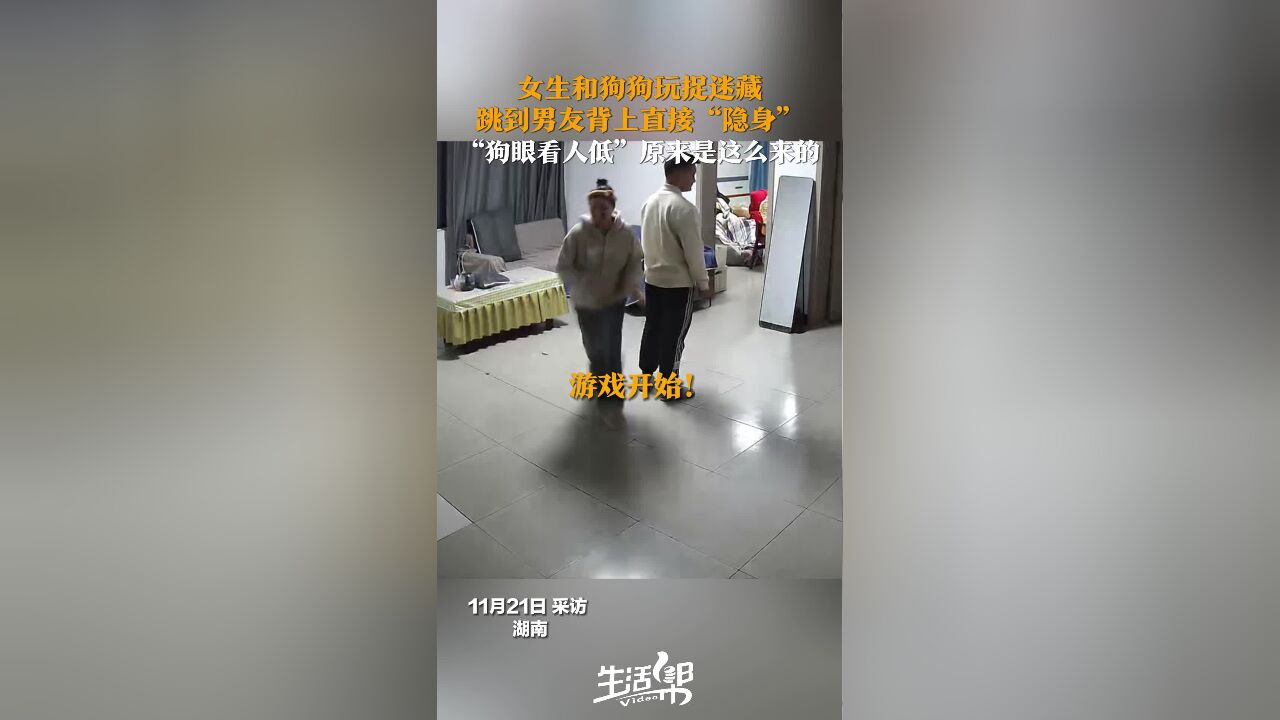 女生和狗狗玩捉迷藏 跳到男友背上直接“隐身” “狗眼看人低”原来是这么来的