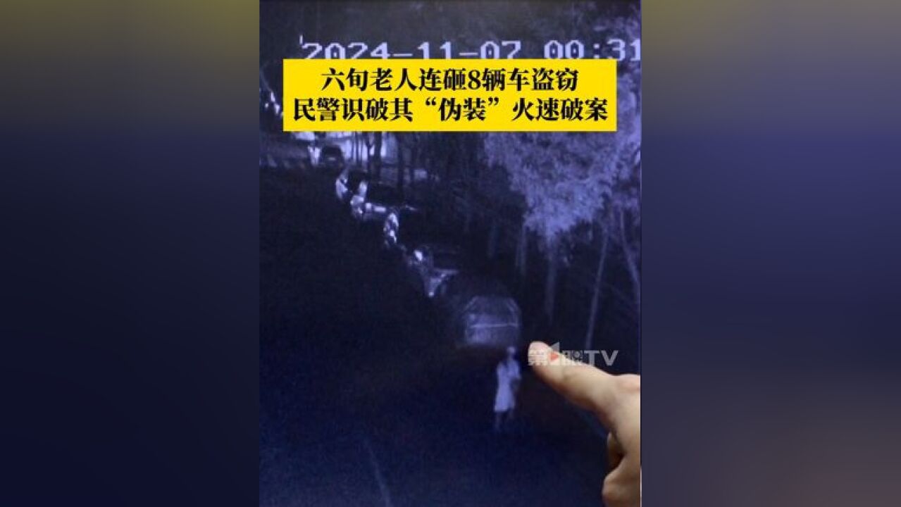 六旬老人连砸8辆车盗窃8000多元财物,民警识破其“伪装”火速破案