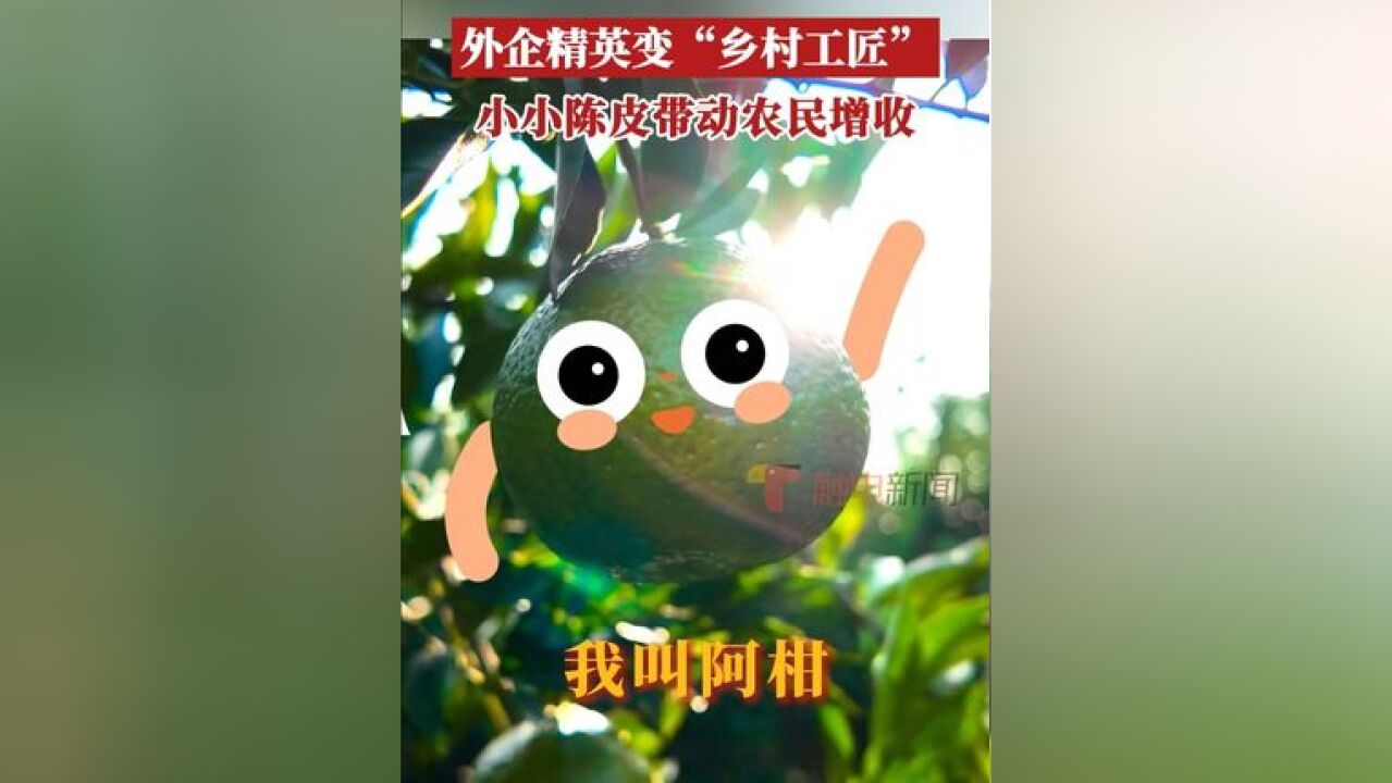 “新会陈皮”名声在外,闻着陈皮香长大的陈健荣用所学所长回馈家乡,建立了富民工坊,通过送项目到村,送技术到人,送就业到村,近...