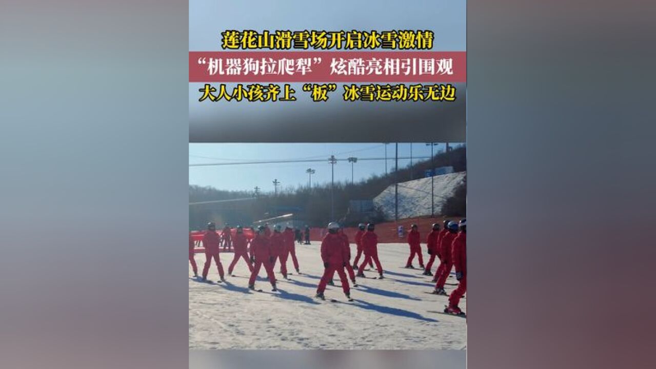 莲花山滑雪场开启冰雪激情,大人小孩齐上“板”冰雪运动乐无边