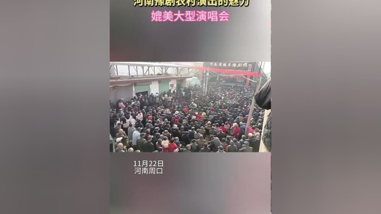 河南豫剧的演出魅力