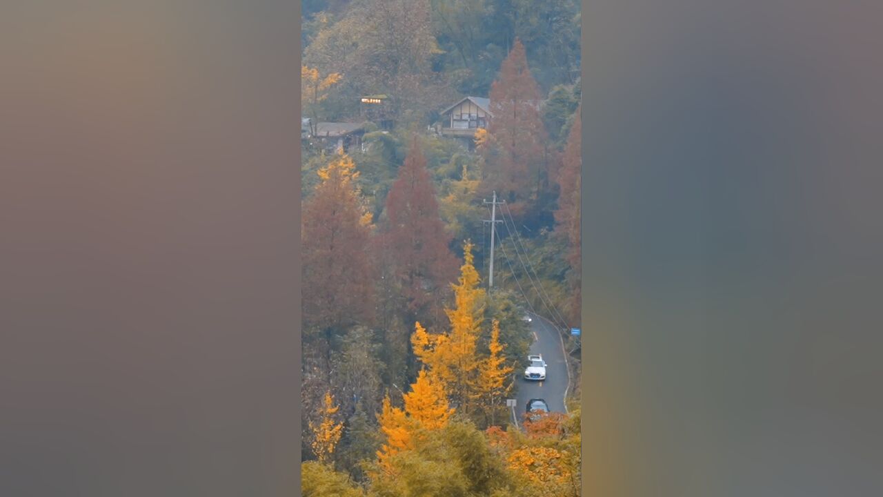 小雪节气,冬日序章