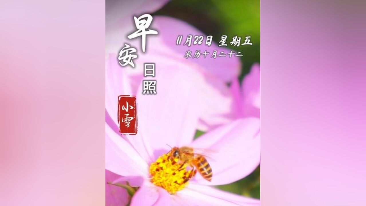 今天是11月22日,星期五,早安,小雪笼山乡,寒来遍地霜,今日小雪,天气渐寒,愿你在寒冷中依旧有物暖身,有人暖心