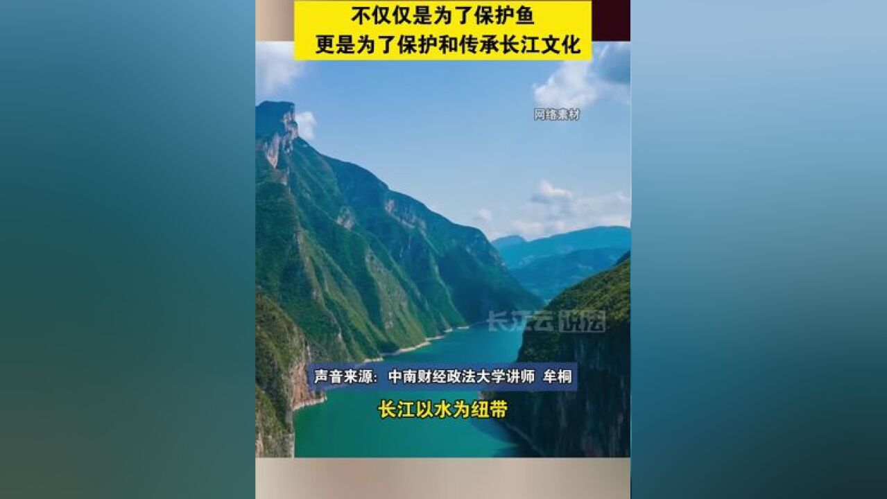 学者谈长江十年禁渔:禁渔的目的不是说不吃鱼,是让更多的人能够吃到更好的鱼、更长久地吃鱼