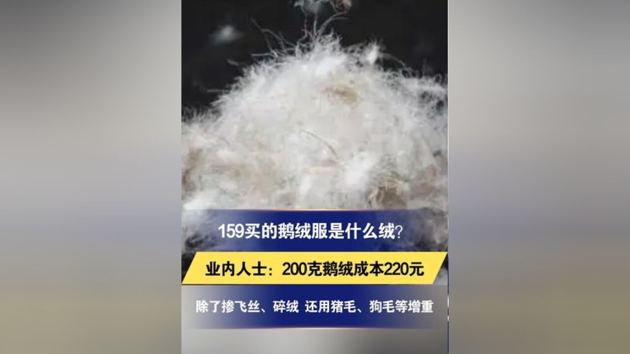 159买的鹅绒服是什么绒? 业内人士:200克鹅绒成本220元 除了掺飞丝、碎绒 还用猪毛、狗毛等增重