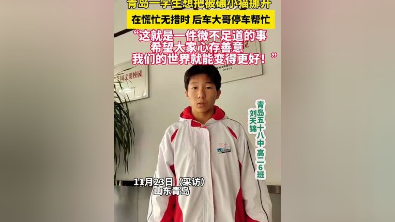 青岛一学生想把被碾小猫挪开,在慌忙无措时,后车大哥停车帮忙“这就是一件微不足道的事,希望大家心存善意,我们的世界就能变得更好!